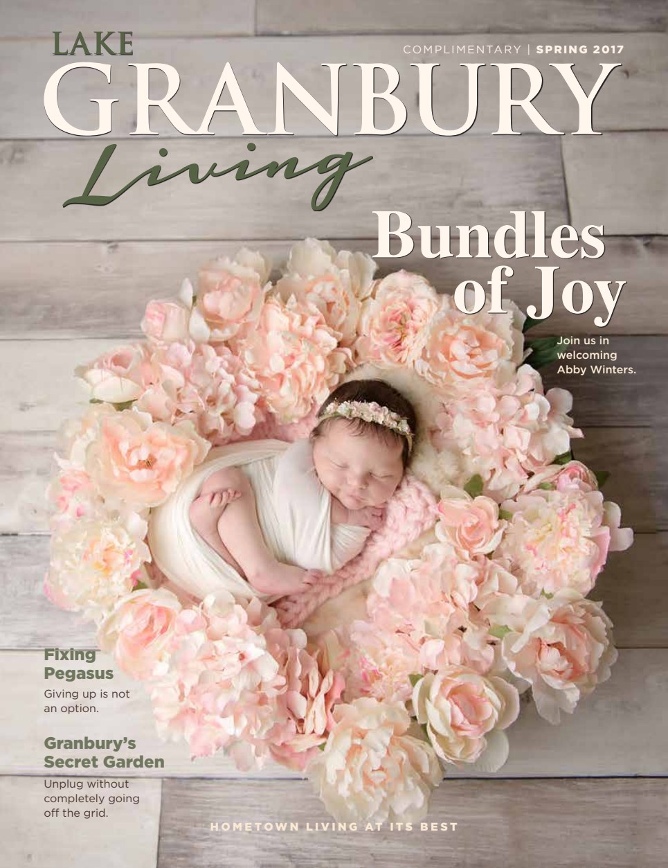 Lake Granbury Living Spring 2017 cover